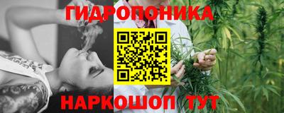 винт Краснодар
