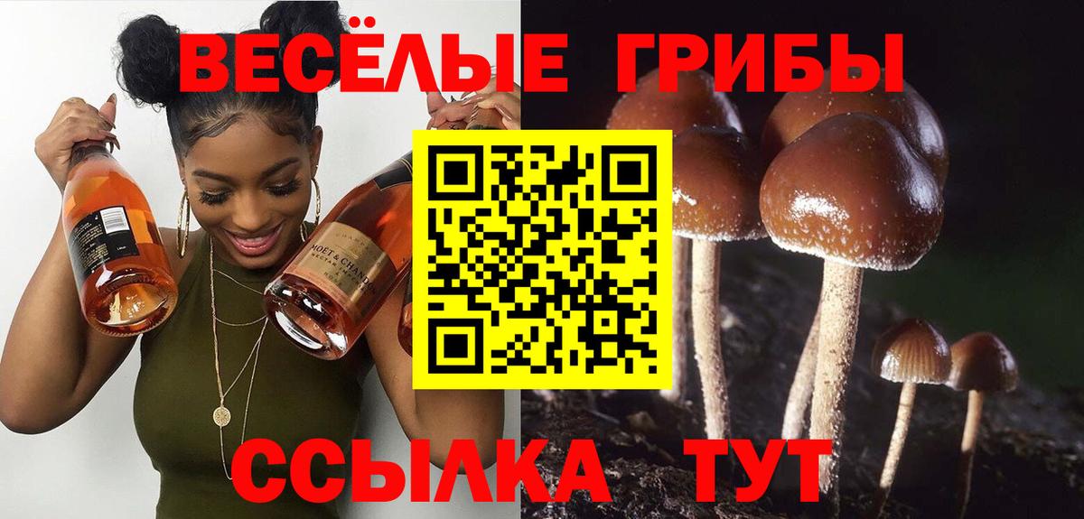 Псилоцибиновые грибы мицелий  Вход с VPN  Касимов 